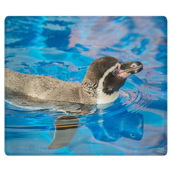 Little Penguin Swimming In Blue Water. Bath Mat