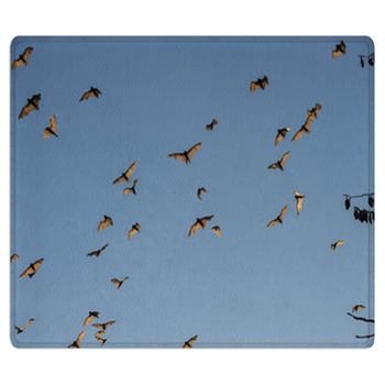 Little Red Flying-foxes In Flight Bath Mat