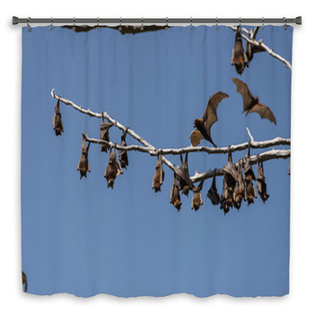 Little Red Flying-foxes Roosting On An Shower Curtain
