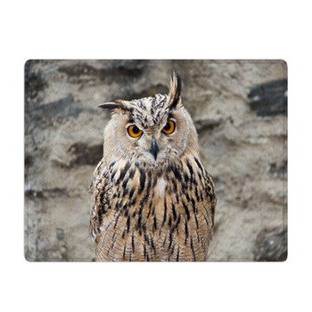 Long-eared Owl Portrait Bath Mat