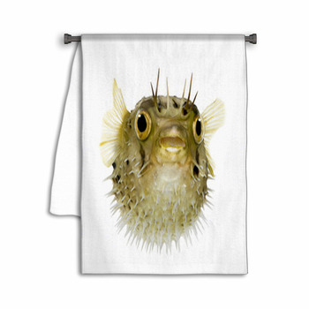 Long Spine Porcupinefish Also Know As Spiny Towel