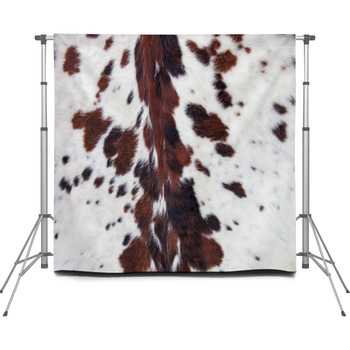 Longhorn White Cowhide With Black Custom Size Backdrop