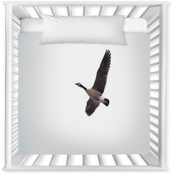 Looking Up At A Goose In Flight Baby Crib Comforter