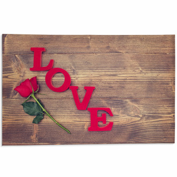 Love Area Rug