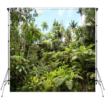 Lush Jungle Fleece Backdrop