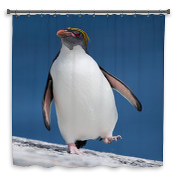 Macaroni Penguin Walking From The Sea Shower Curtain
