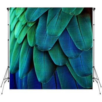 Macaw Feathers (Blue/Green) Fleece Backdrop
