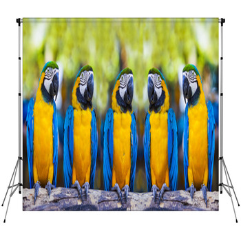 Macaws Sitting On Log. Fleece Backdrop
