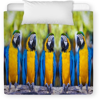 Macaws Sitting On Log. Toddler Comforter