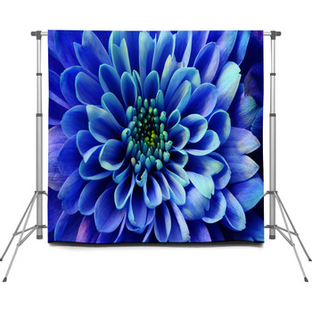 Macro Of Blue Flower Aster Custom Size Backdrop