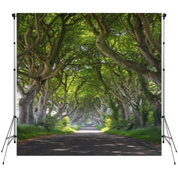 Magical Woods Of Dark Hedges Custom Size Backdrop