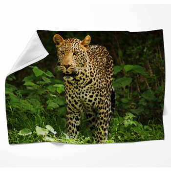 Male Leopard Fleece Blanket