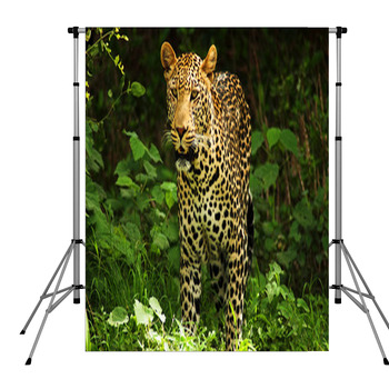 Male Leopard Pole Pocket Backdrop