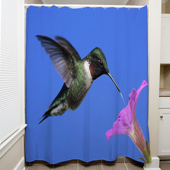 Male Ruby-throated Hummingbird Shower Curtain