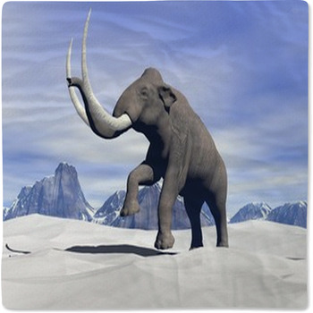 Mammoth In The Snow Baby Blanket