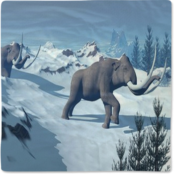 Mammoths Walk Baby Blanket