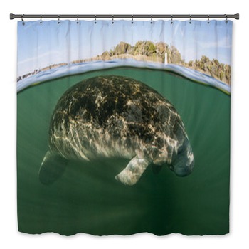 Manatee Bath Decor