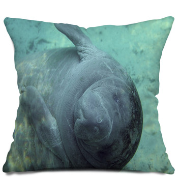 manatee body pillow