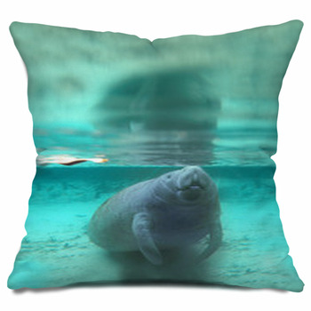 manatee body pillow