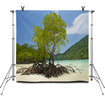 Mangrove And Roots On Sand Fleece Backdrop