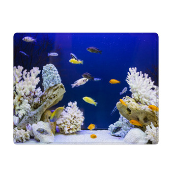 Many Colorful Fish Swim In The Aquarium With Bath Mat