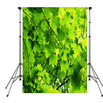 Maple Pole Pocket Backdrop
