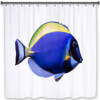 Marine Fish On White Isolated Background Shower Curtain