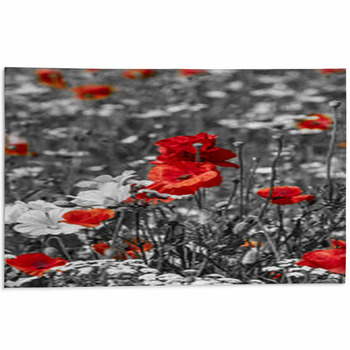 Meadow With Poppies -  Monochrome Picture Area Rug
