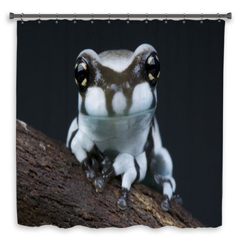 Milk Frog / Trachycephalus Custom Size Shower Curtain