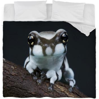 Milk Frog / Trachycephalus Fleece Bed Blanket