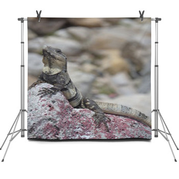 Mistress of Copper Mountain Fleece Backdrop