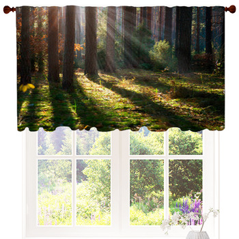 Misty Old Forest. Autumn Woods Custom Size Valance