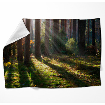 Misty Old Forest. Autumn Woods Fleece Blanket