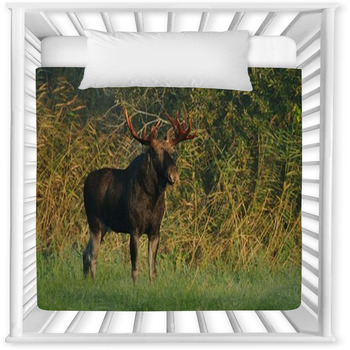 Moose Bull Baby Crib Comforter