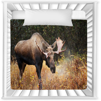Moose Bull Blowing Some Steam, Baby Crib Comforter