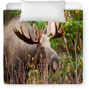 Moose Bull Closeup, Alaska Toddler Duvet