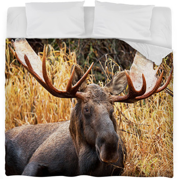 Moose Bull Portrait/ Male, Alaska, Fleece Bed Blanket