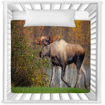 Moose Bull Walking, Male, Alaska, Baby Crib Comforter