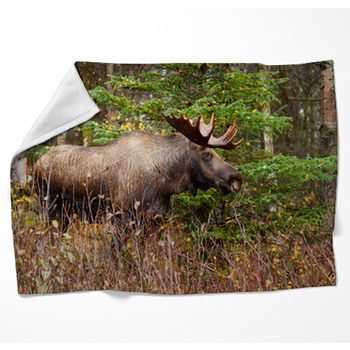 Moose Bull With Big Antlers Blowing Woven Throw Blanket