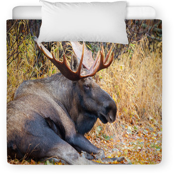 Moose Bull With Big Antlers, Male, Toddler Duvet