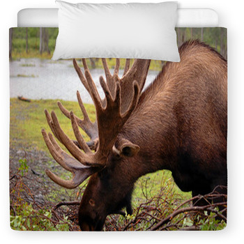 Moose In Alaska Toddler Duvet