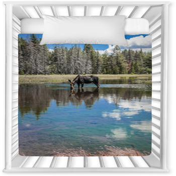 Moose Standing In Reflecting Lake Baby Crib Comforter