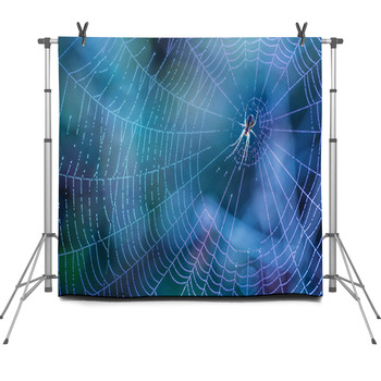 Morning Drops Of Dew In A Spider Web Fleece Backdrop