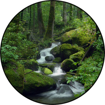 Mossy Waterfall Round Rug