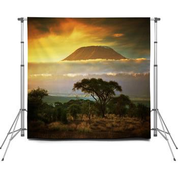 Mount Kilimanjaro. Savanna In Custom Size Backdrop