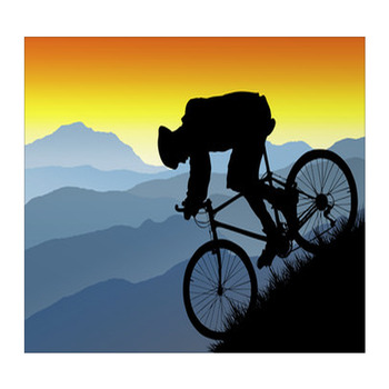 Mountain biking wall 2025 art