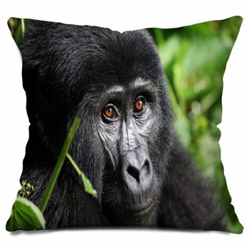 https://www.visionbedding.com/images/theme/mountain-gorilla-bwindi-uganda-outdoor-throw-pillow-47558991.jpg