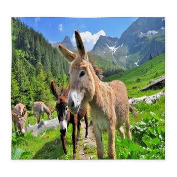 Mountain Valey Landscape With Custom Size Floor Mat