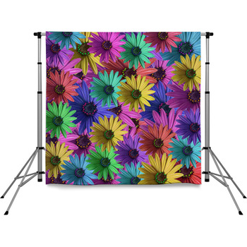 Multi Colored Daisy Flowers Pole Pocket Backdrop