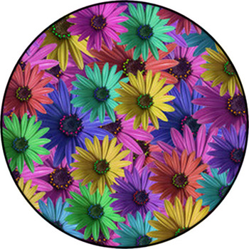 Multi Colored Daisy Flowers Pattern Background Round Rug